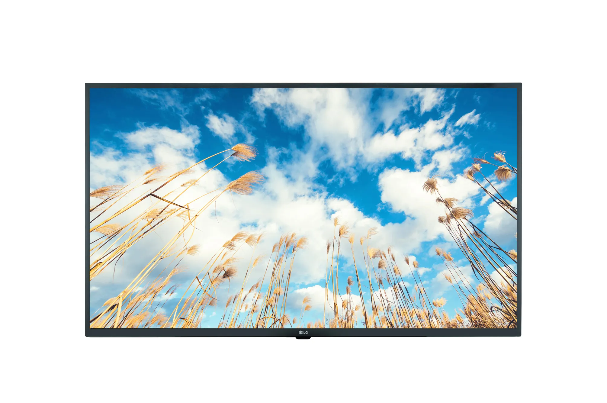 LG 50UM767H0LJ 50inch Super Slim Smart UHD Hotel TV 2023 Dec