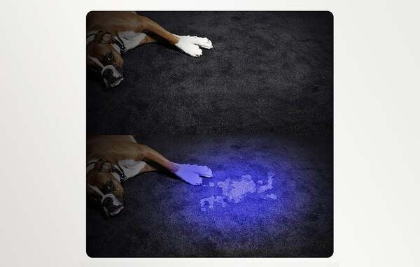 SUPERFIRE S11-H, 800 mAh, UV flashlight
