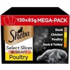 Sheba Select Slices Poultry Collection in Gravy, Kissan m&auml;rk&auml;ruoka, Adult, 120 x 85 g
