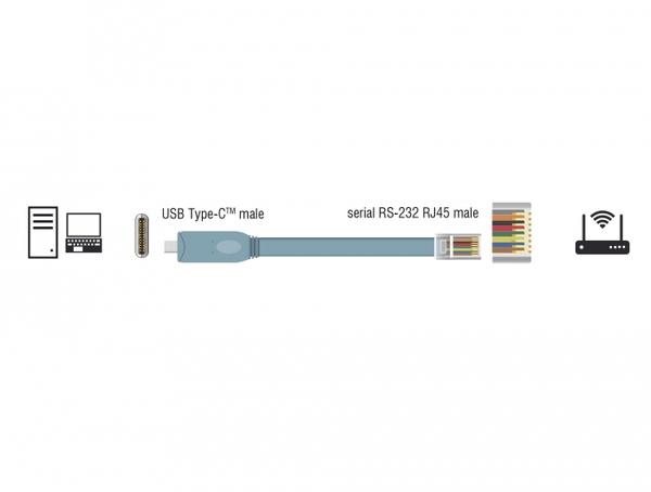 De-Lock 1 m Adapter USB 2.0 Type-C &ndash; RJ45 - cable, Grey
