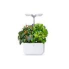 VERITABLE Smart Indoor Garden Arctic White