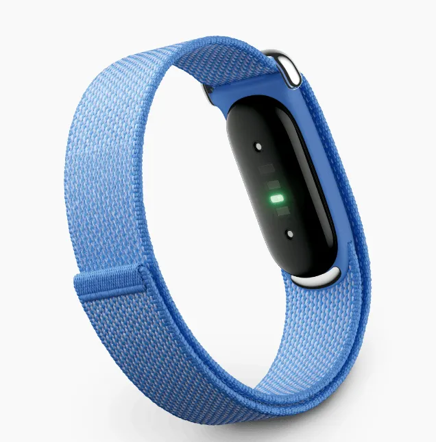 Google Fitbit Air Lavendel Aktivitetsarmband