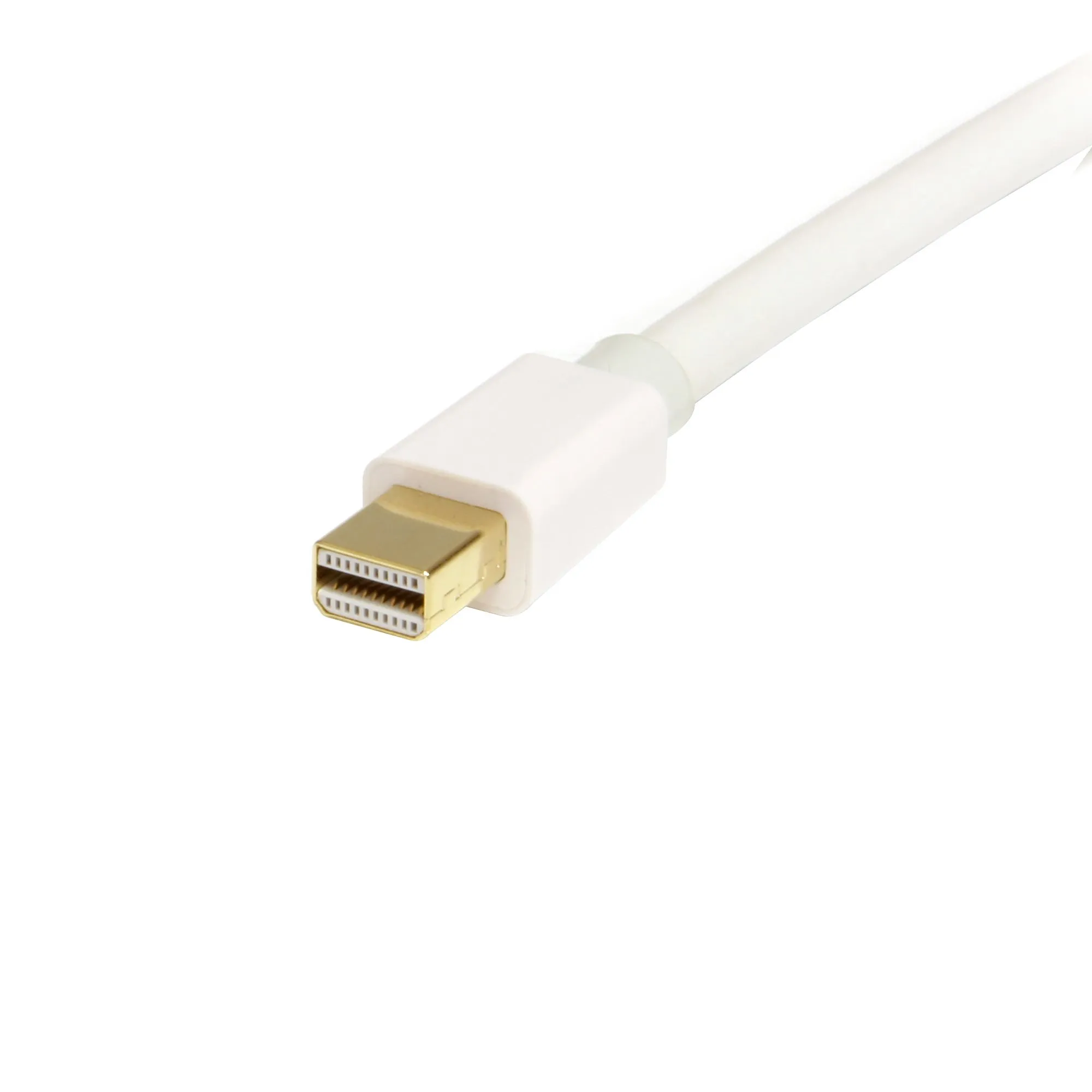 Startech mini DisplayPort – DisplayPort 1.2 - kabel, 1 m, Vit