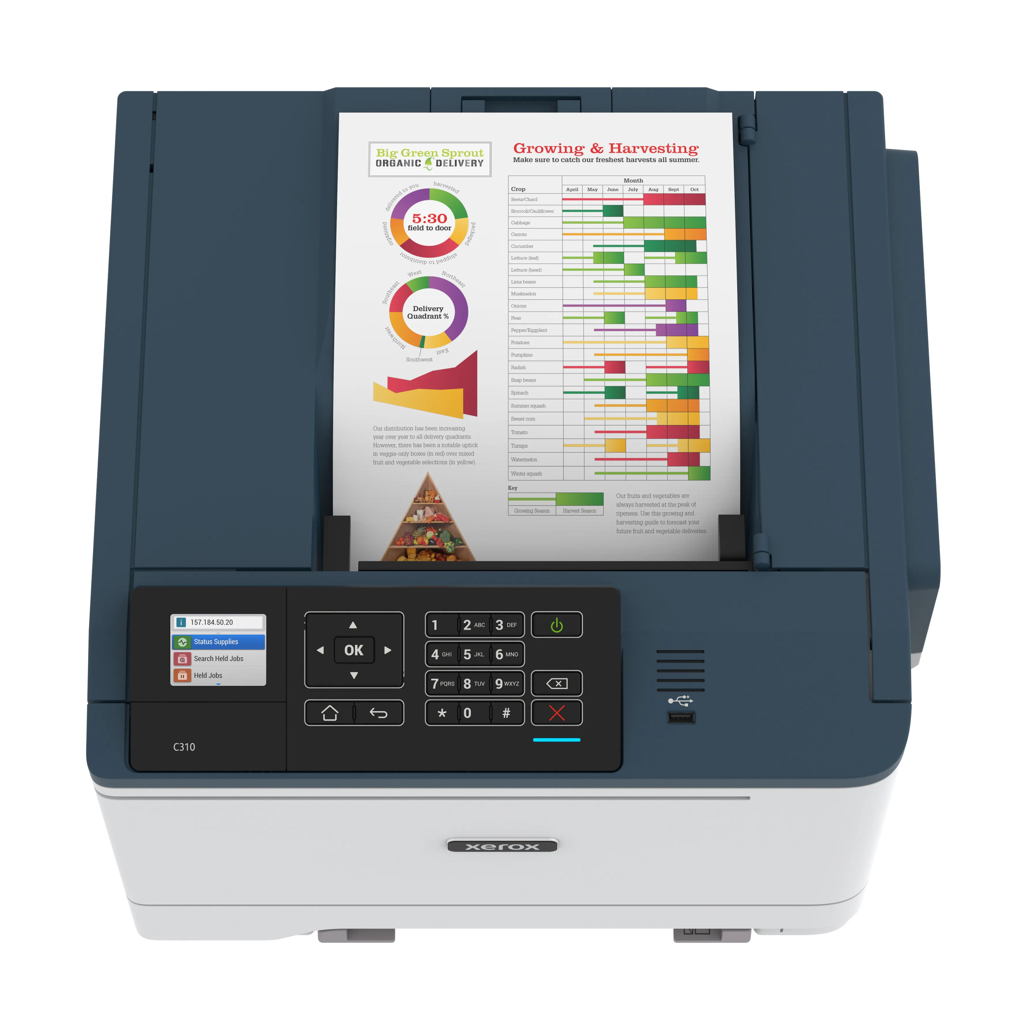 Xerox C310 A4 - Color Laser Printer