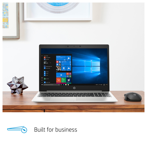 HP 15.6&quot; ProBook 455 G7, 16 Gt RAM, 512 Gt SSD, Win 10 Pro -kannettava, Hopea