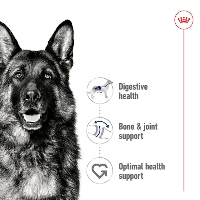 Royal Canin Maxi Adult Loaf, Wet food for dogs, 410g