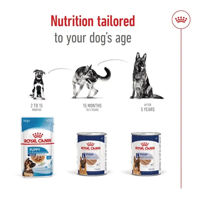 Royal Canin Maxi Adult Loaf, Wet food for dogs, 410g