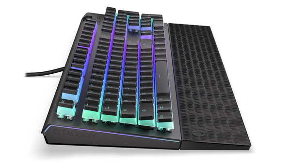 Endorfy Omnis Pudding EY5A031 Mechanical Gaming Keyboard, Kailh Blue, Black