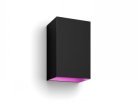 Philips HUE RESONATE WACA WALL LANTERN BLACK 2X8