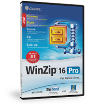 WINZIP PRO MAINTENANCE (2 YR) ML (100000+)