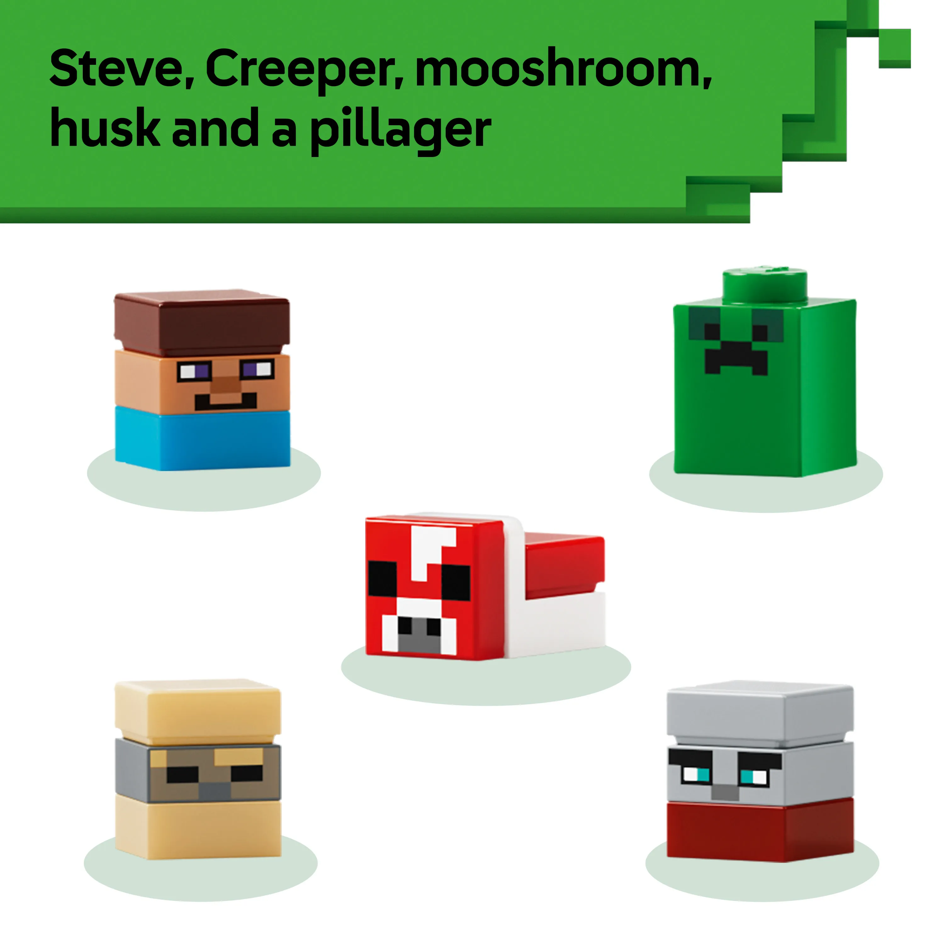 LEGO Minecraft Minibiom 21589