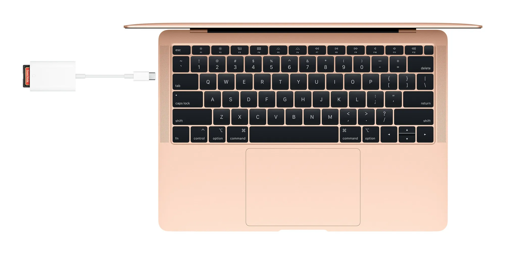 Apple USB-C to SD Card Reader