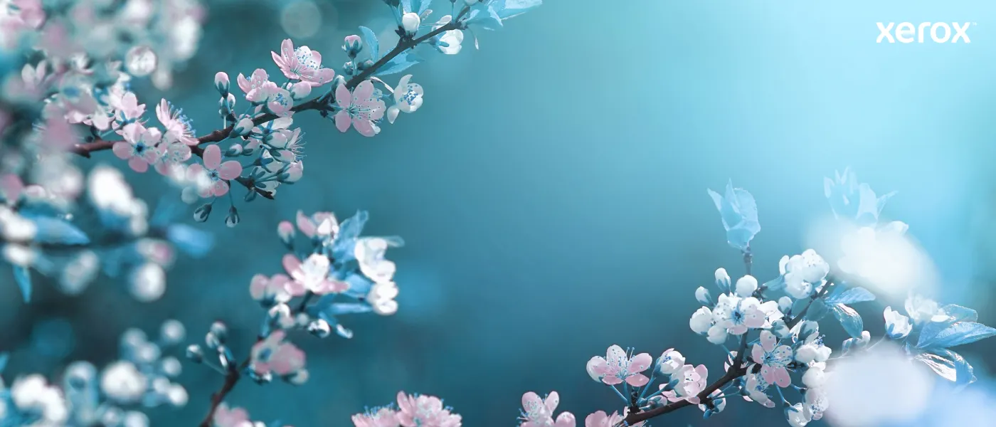 Xerox VersaLink C60X toner cartridge, Black