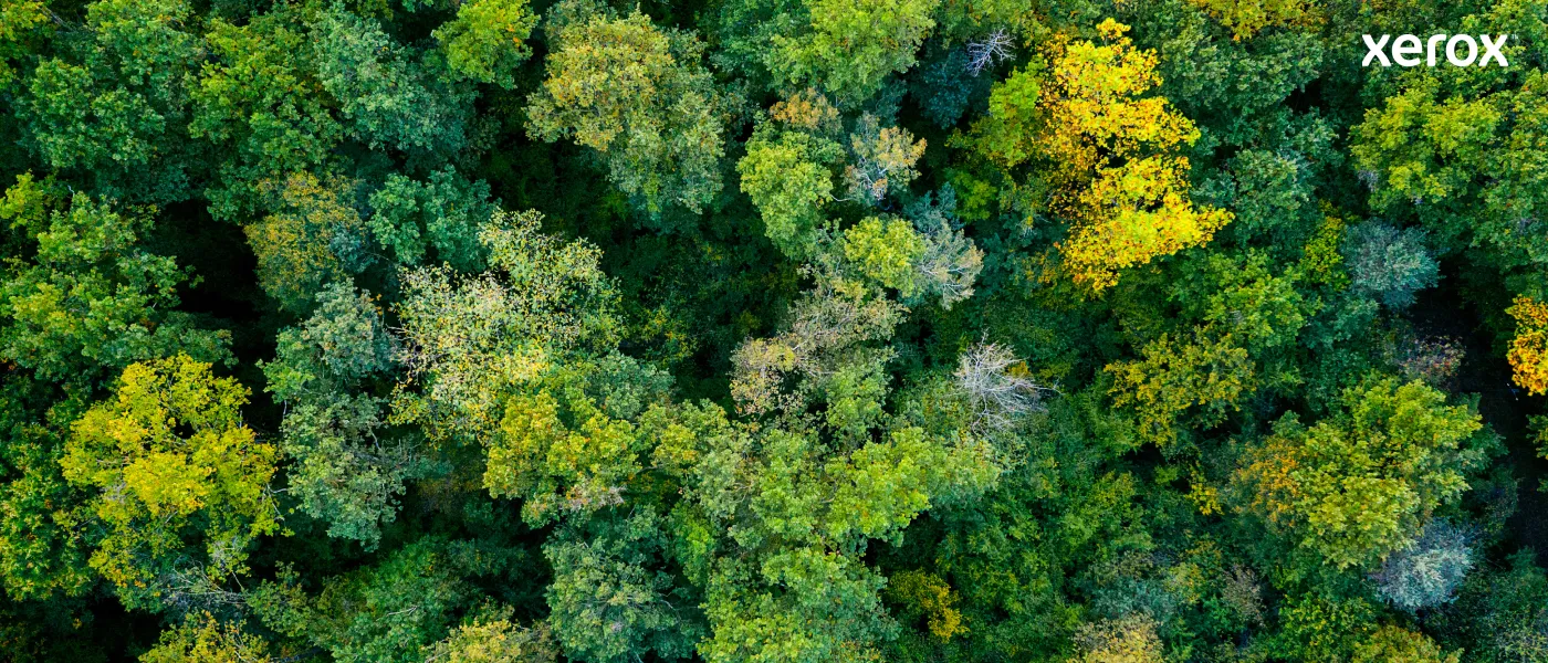 Xerox VersaLink C60X toner cartridge, Black