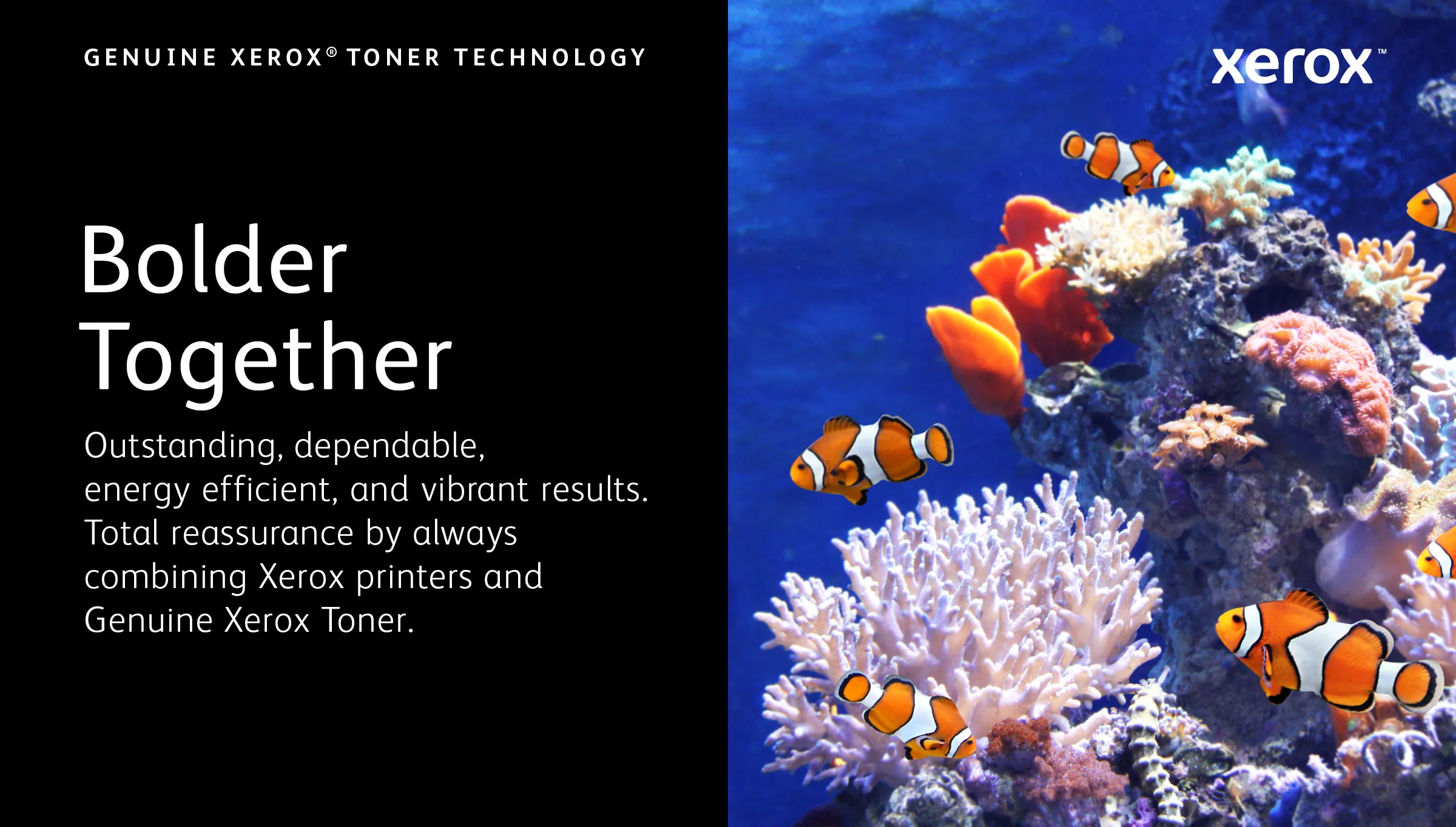 (Bargains) Xerox C230/C235 High Yield toner cartridge, Magenta