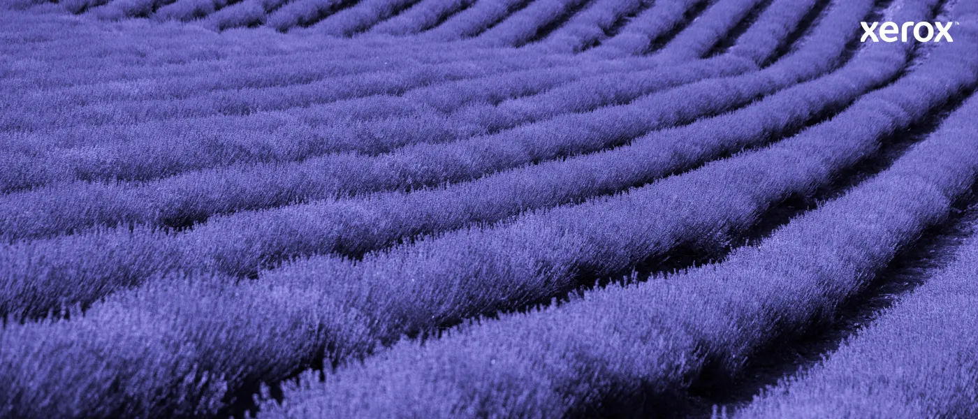 Xerox VersaLink C60X toner cartridge, Black