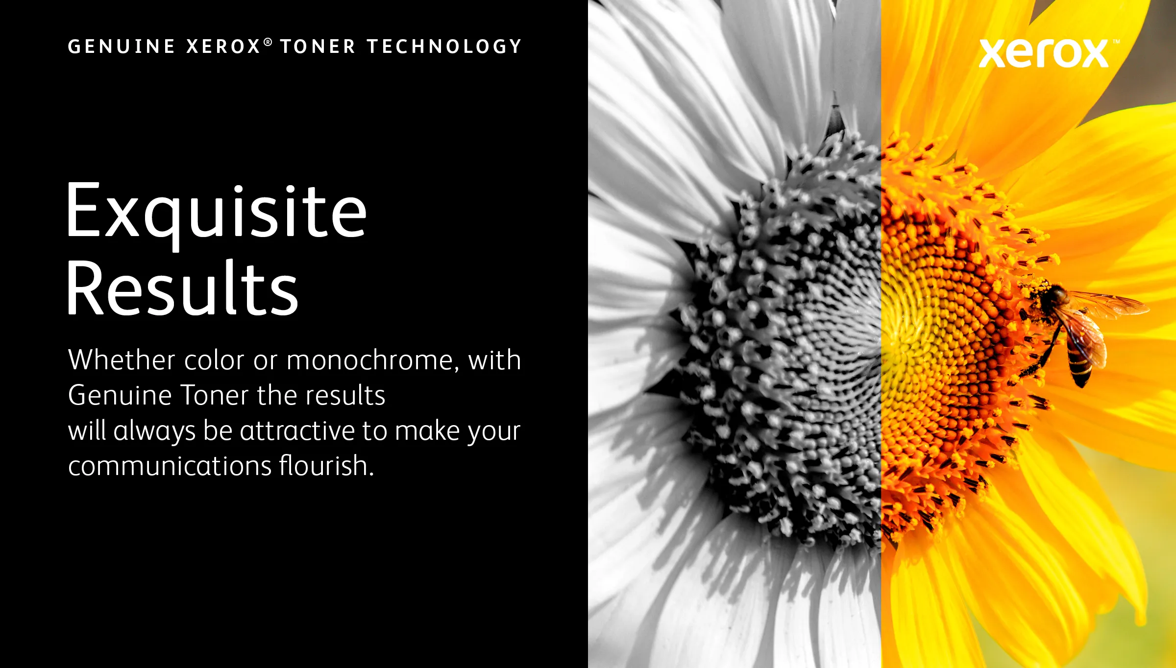 Xerox VersaLink C60X toner cartridge, Black