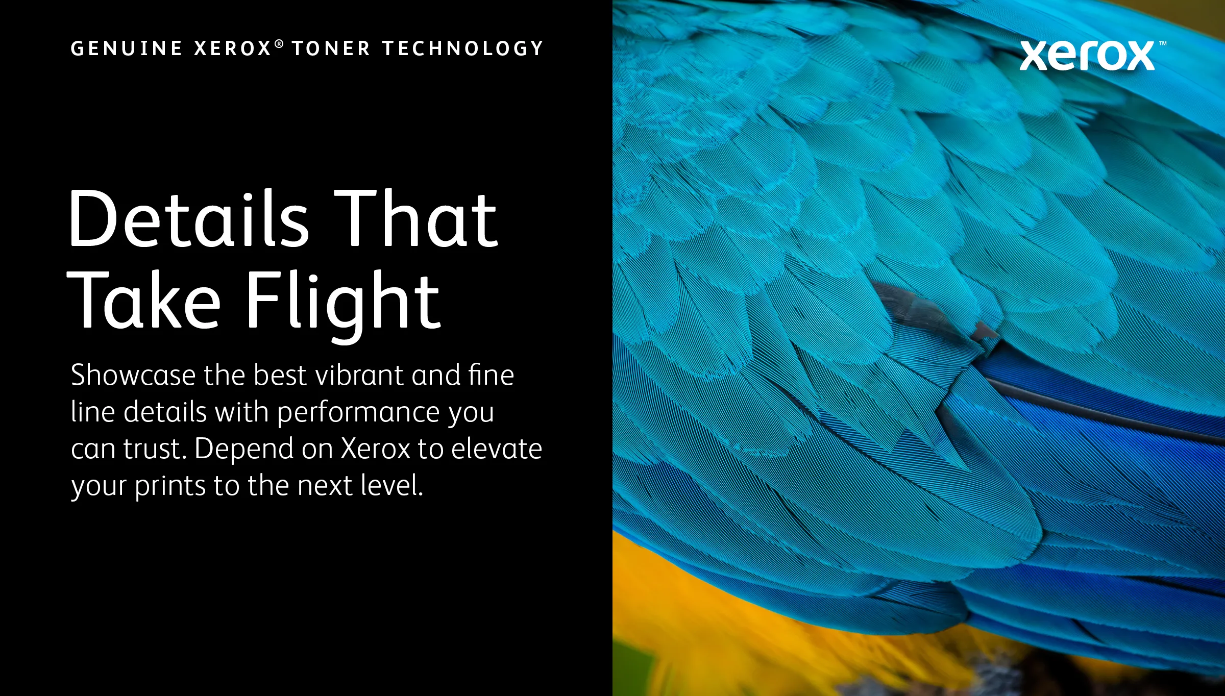 Xerox VersaLink C60X toner cartridge, Black