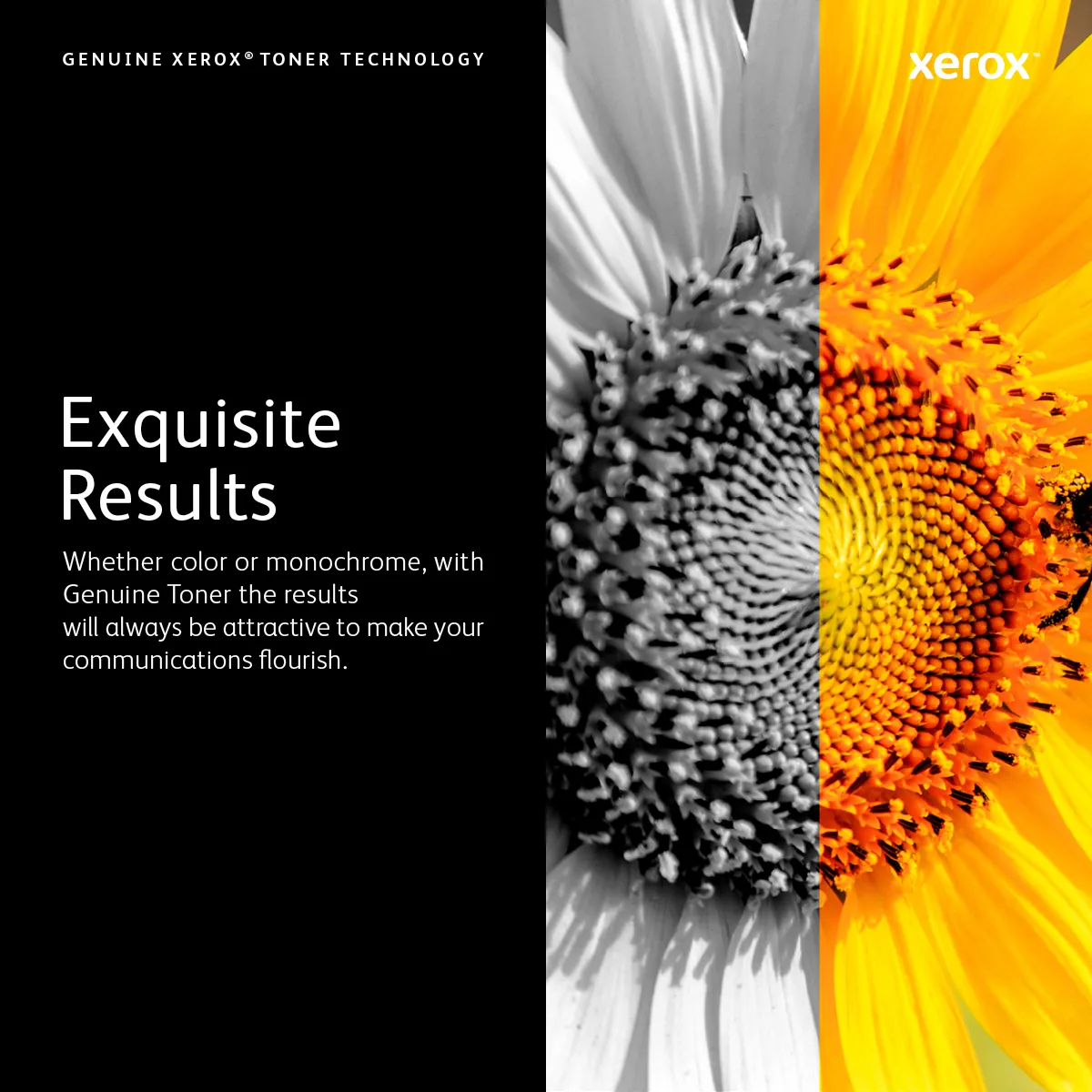 Xerox 108R01483 trumenhet, gul