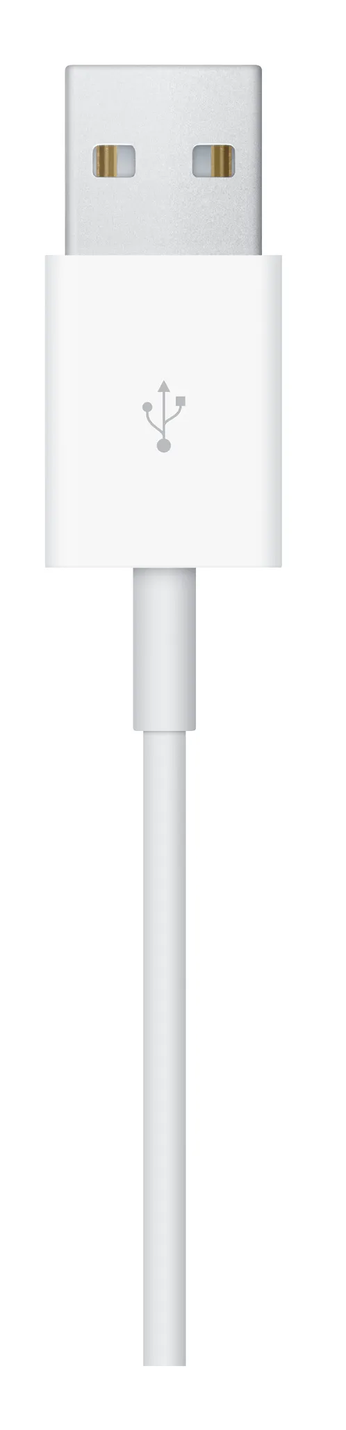 Apple Watch Magnetic Charging Cable 1 m
