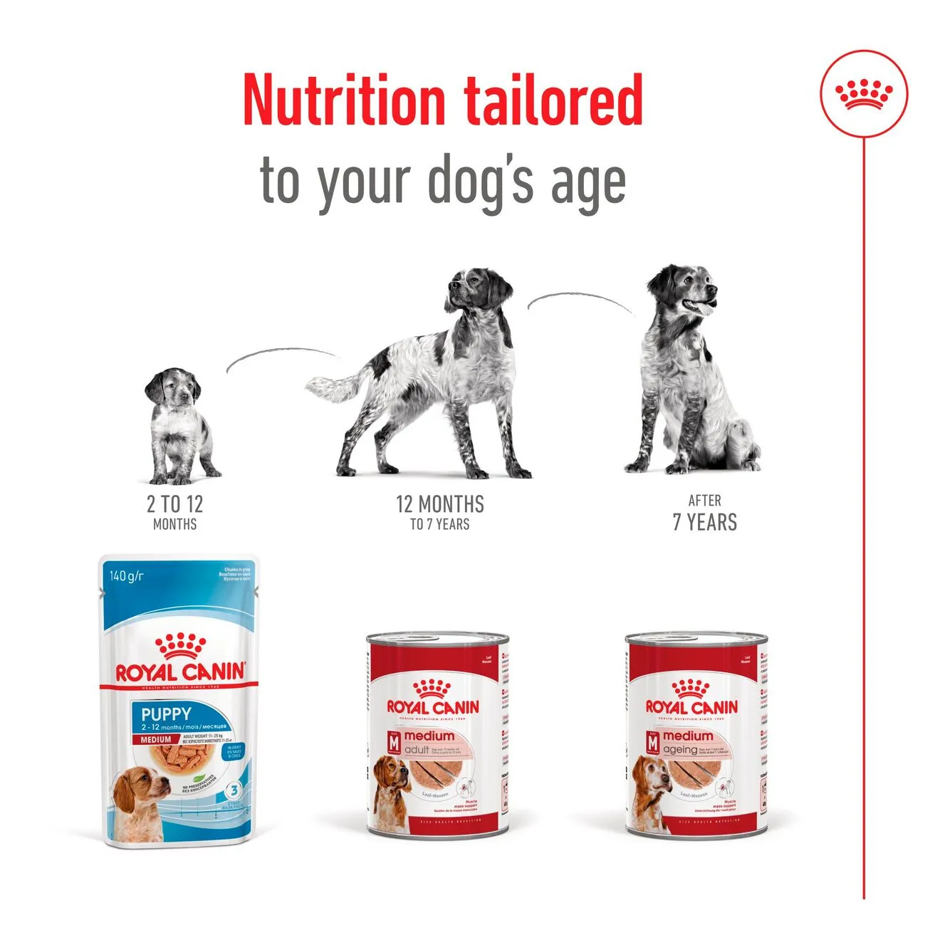 Royal Canin Medium Ageing Loaf, Koiran m&auml;rk&auml;ruoka, 410 g