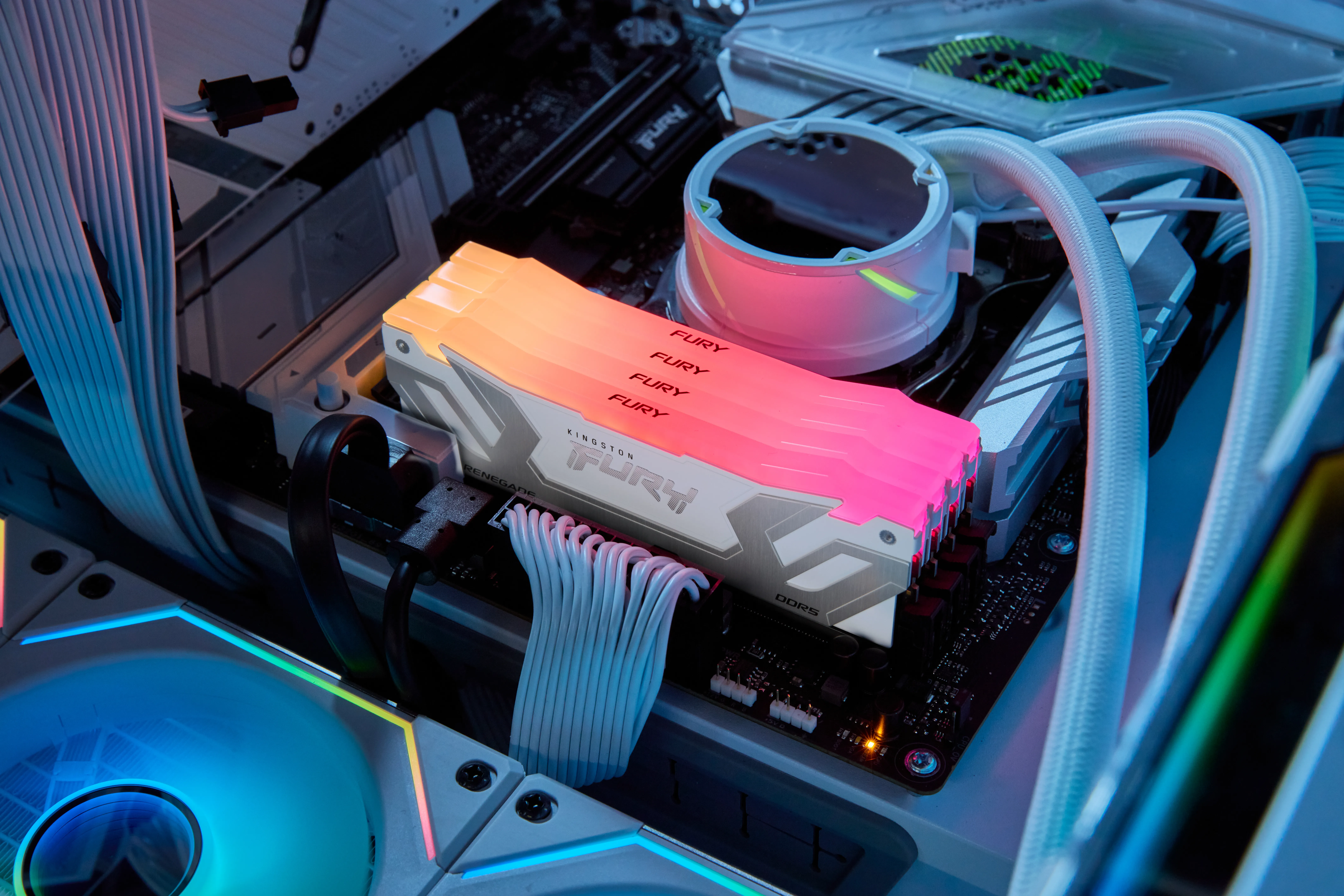 Kingston FURY 24GB 8800MT/s DDR5 CL42 CUDIMM FURY Renegade RGB White 24 GB (1 x 24 GB) DDR5 8800 MT/s, CL42 - minne