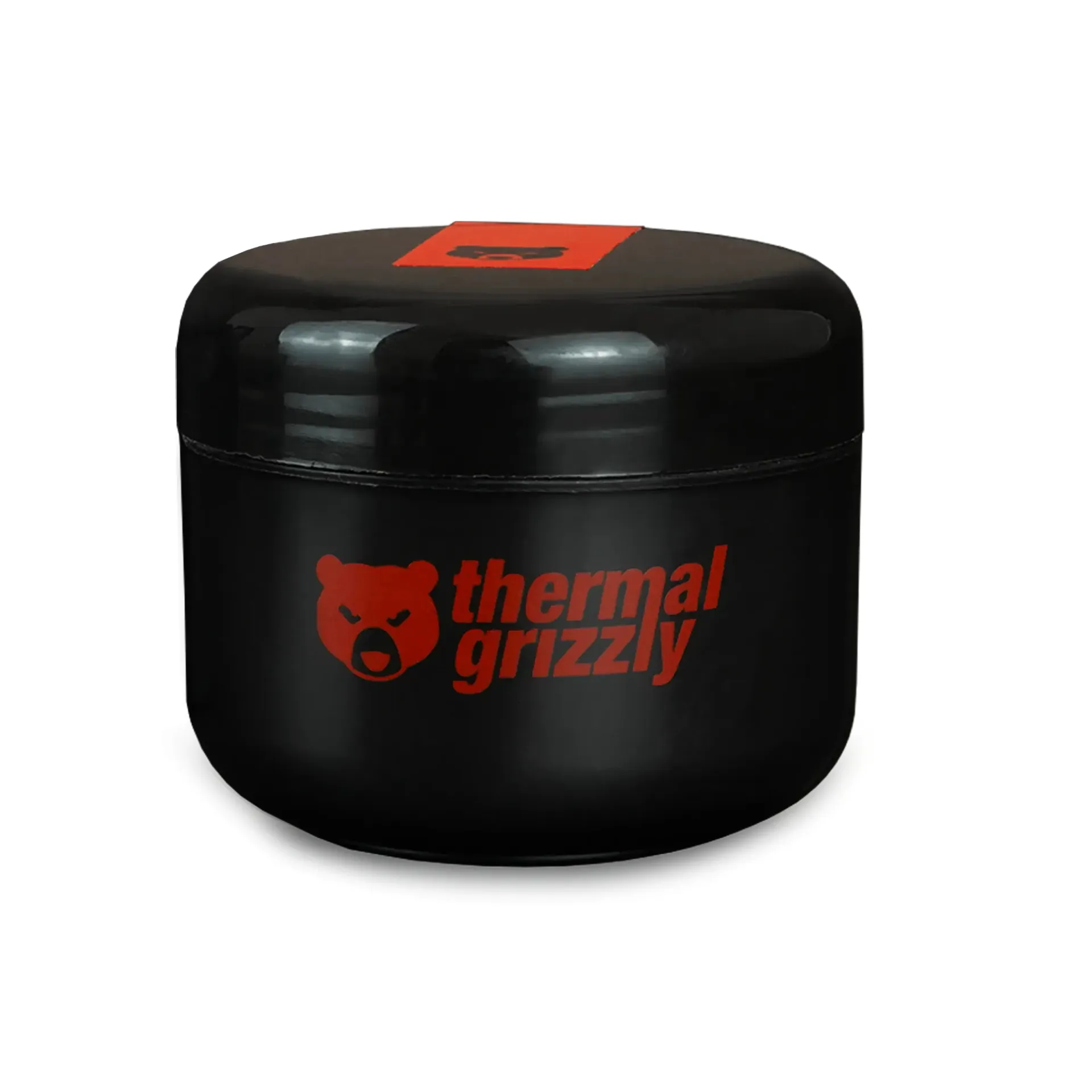 Thermal Grizzly TG Putty Advance 100g