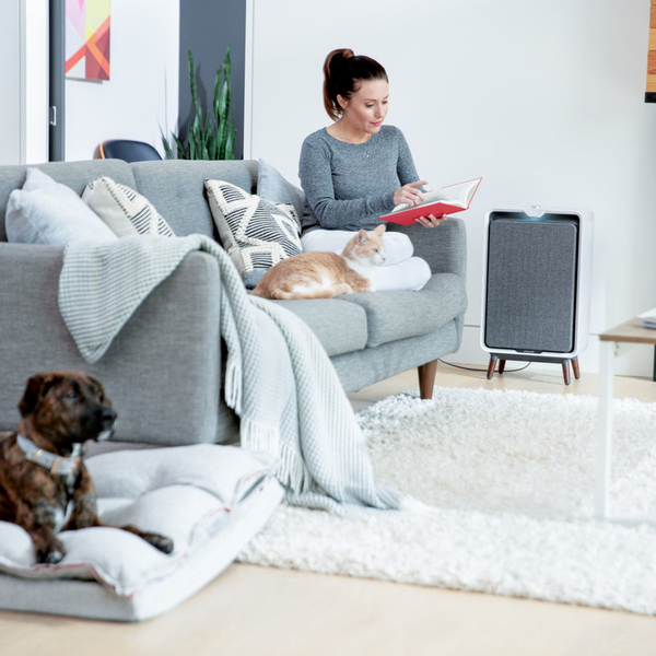 Bissell Air320 - air purifier, white