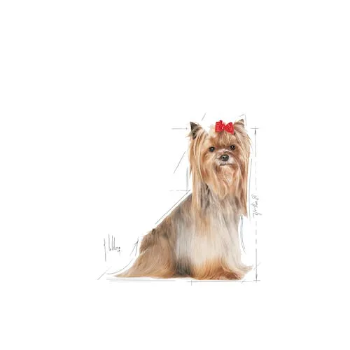 Royal Canin Yorkshire Terrier 8+, Dry food for dogs, Senior, 1.5kg