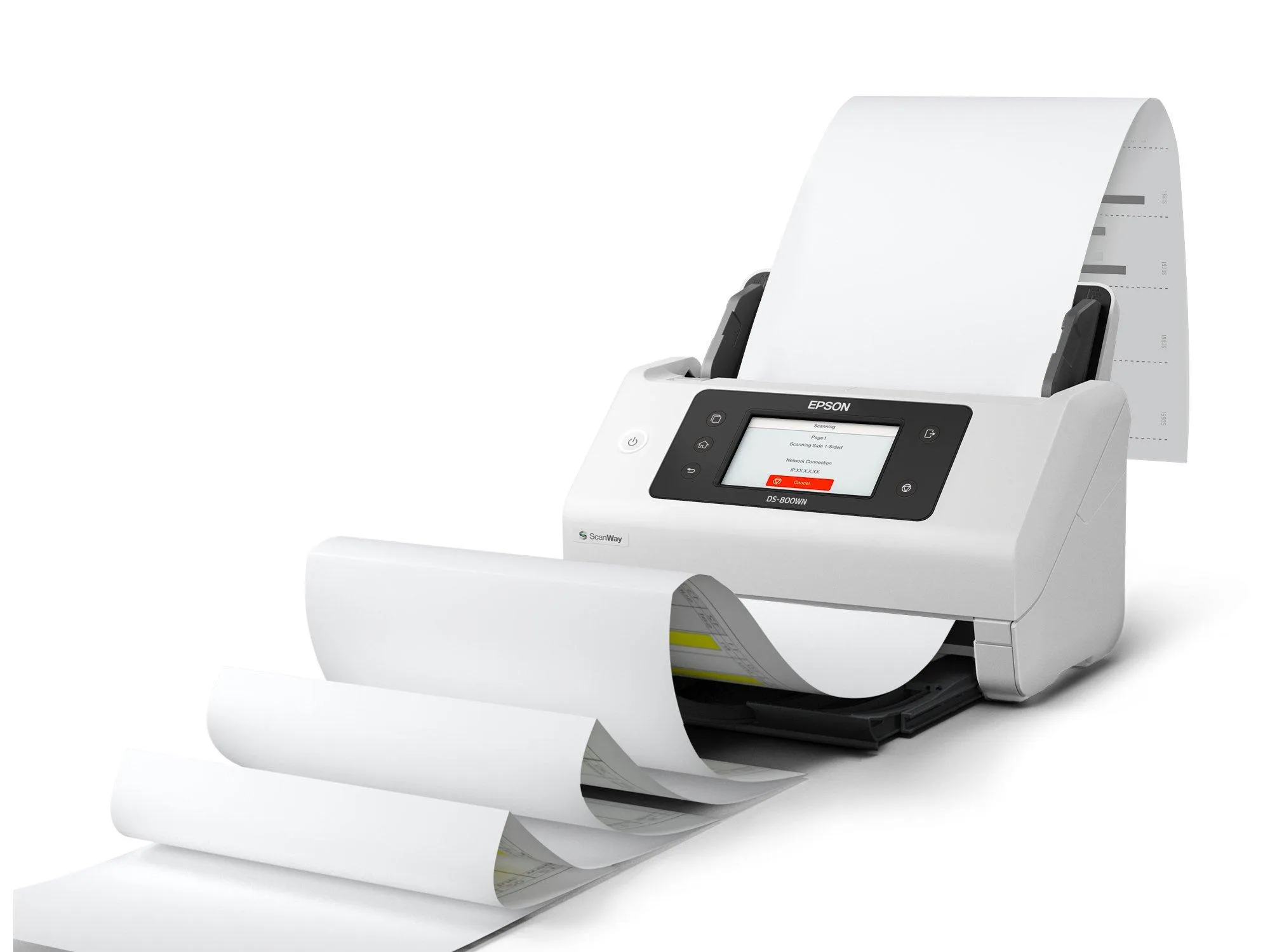 EPSON WORKFORCE DS-800WN