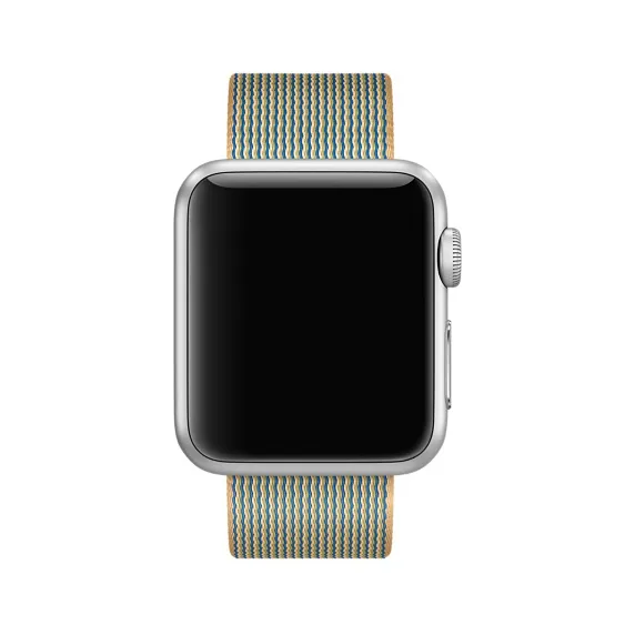 APPLE 38mm Gold/Royal Blue Nylon Band