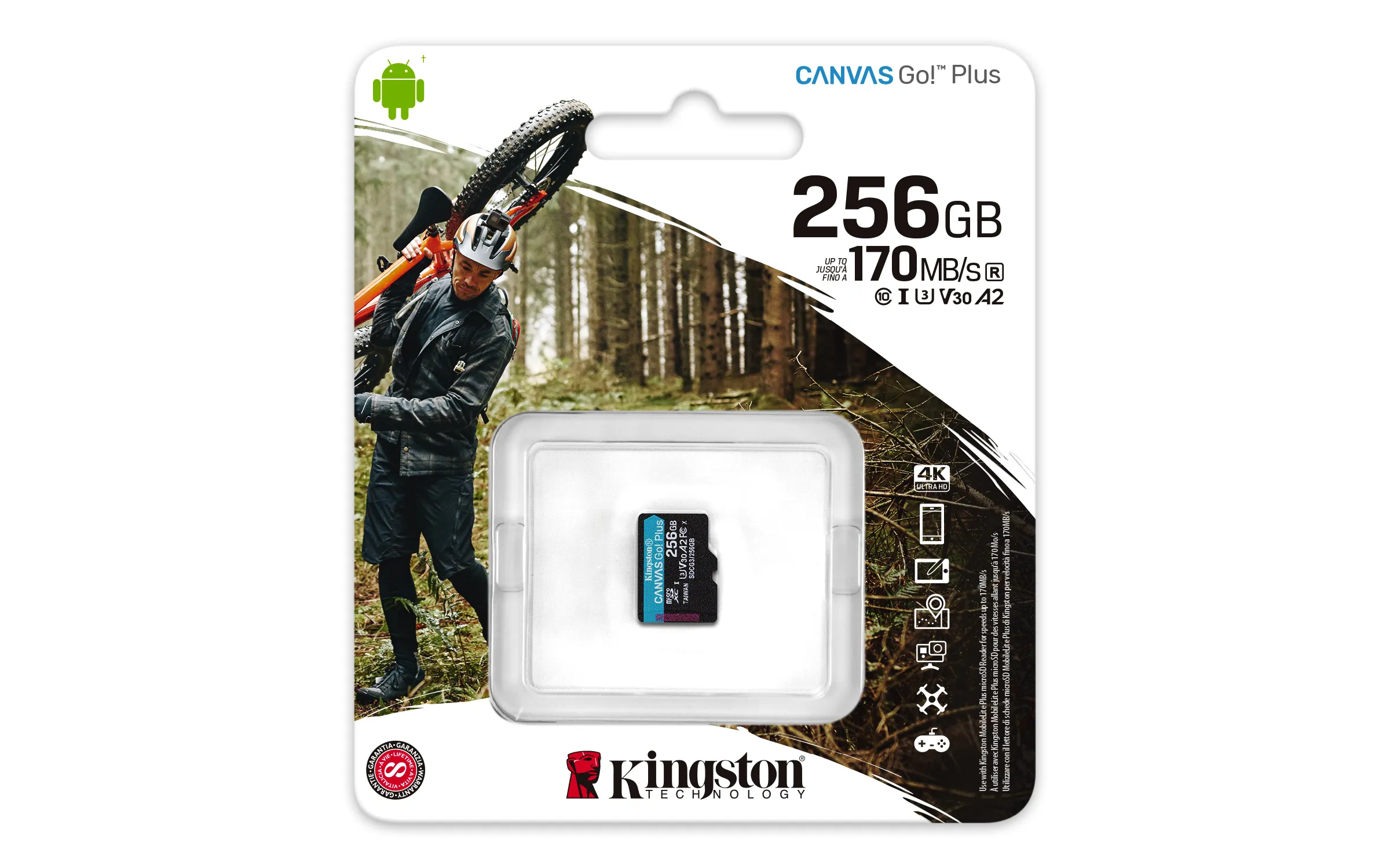 Kingston Canvas Go! Plus 256 GB MicroSDXC - minneskort