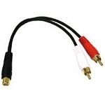 Cbl/6IN RCA FeMale TO 2 RCA Male Y-CBL