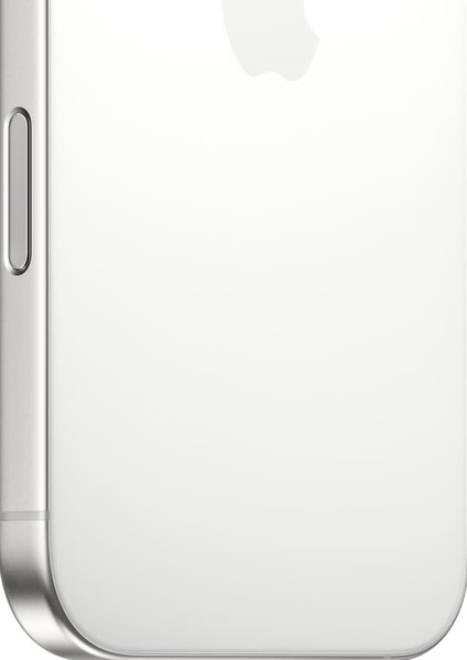 Renoverad iPhone 16 Pro Max 256 GB, vitt titan (Utm&auml;rkt skick)