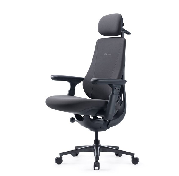 LiberNovo Maxis SE Manual Ergonomic Office Chair - Graphite