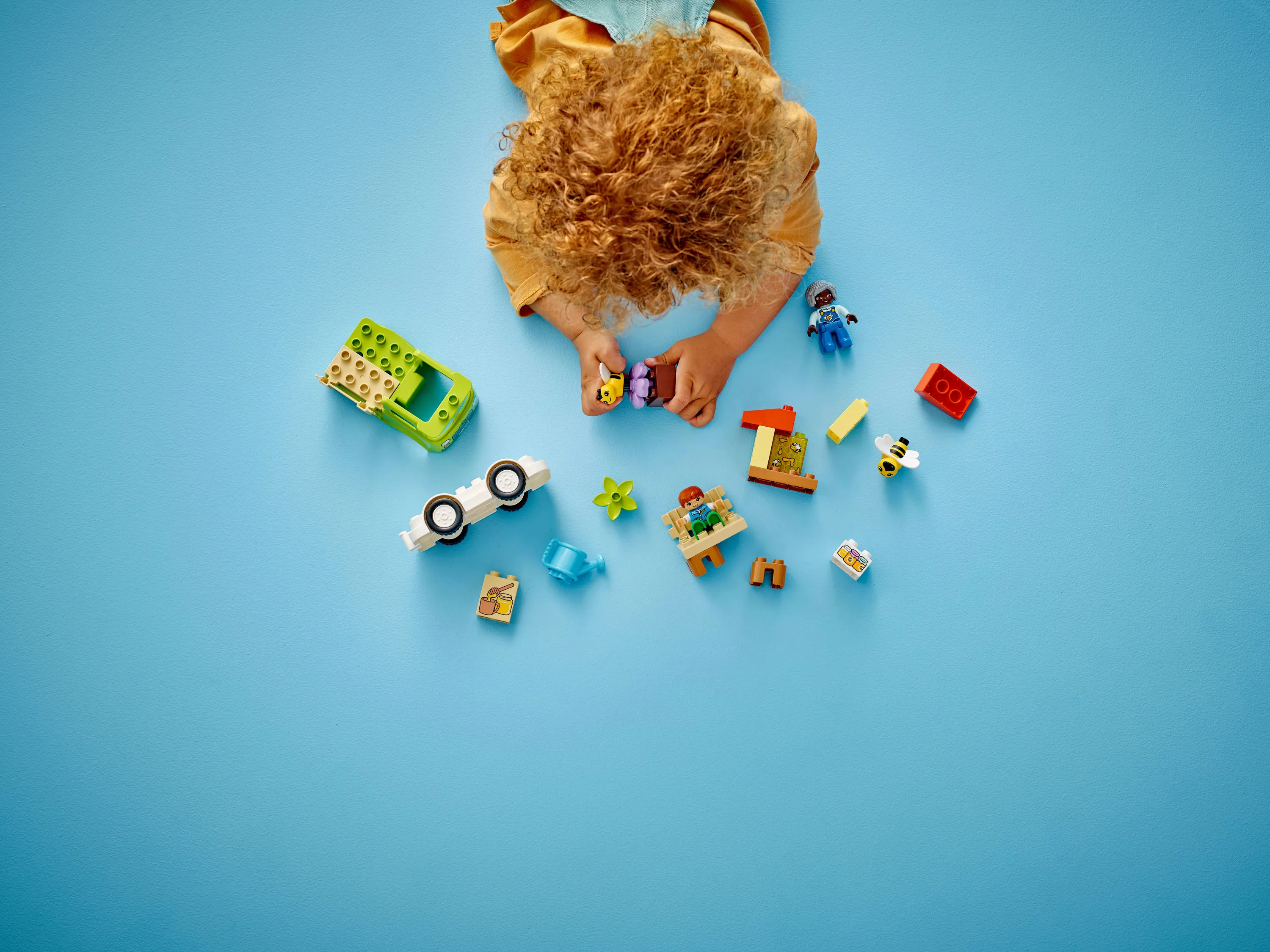 LEGO DUPLO Bees and Beehives Care Set 10419