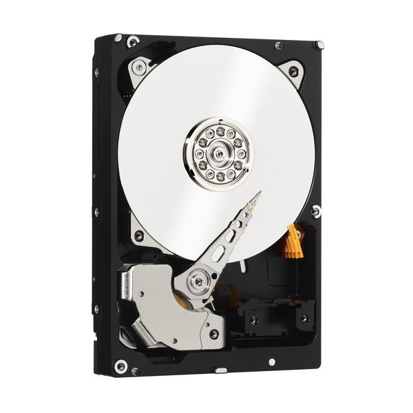 WD RE4 1TB 7200RPM RAID