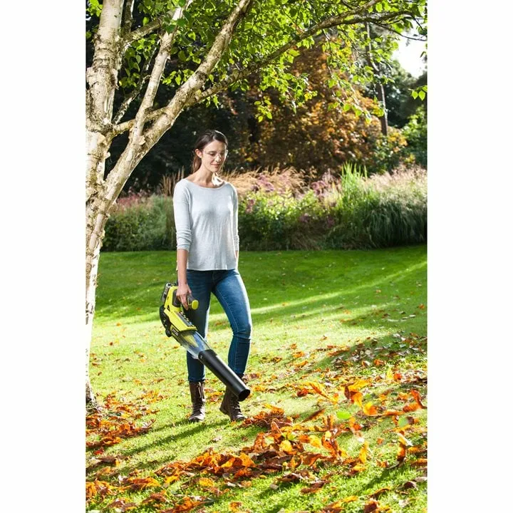 Ryobi ONE+ cordless leaf blower RBL18JB40F, 18V (green/black, Li-ion battery 4.0Ah)