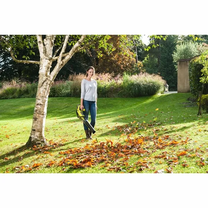 Ryobi ONE+ cordless leaf blower RBL18JB40F, 18V (green/black, Li-ion battery 4.0Ah)
