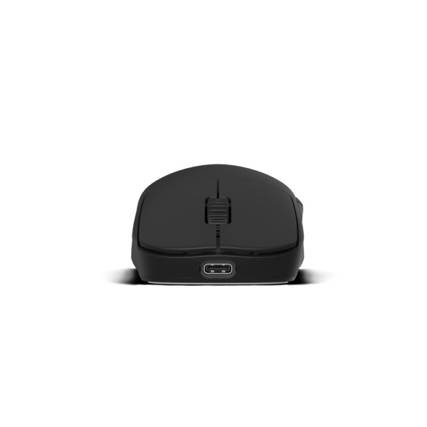 Endgame Gear OP1w 4k (v2) - wireless gaming mouse, Black