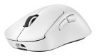 Logitech Pro X Superlight 2 DEX - wireless gaming mouse, white