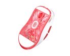 Lamzu Atlantis Mini Champion Edition 8K Wireless Gaming Mouse, Red