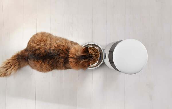 PETONEER NutriVue Smart Food Dispenser with Camera