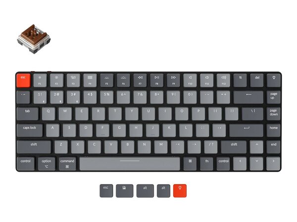 Keychron K3 V2, RGB, Hot swap 75%, Keychron Optical Brown - tr&aring;dl&ouml;s speltangentbord