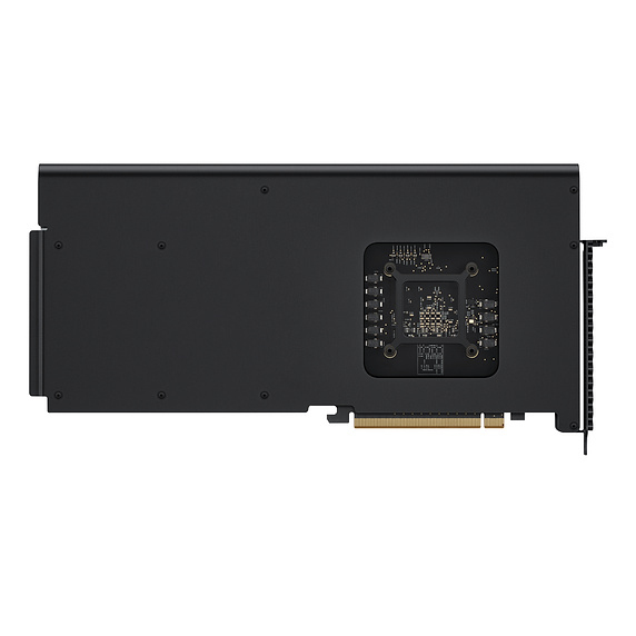 Apple Afterburner Card