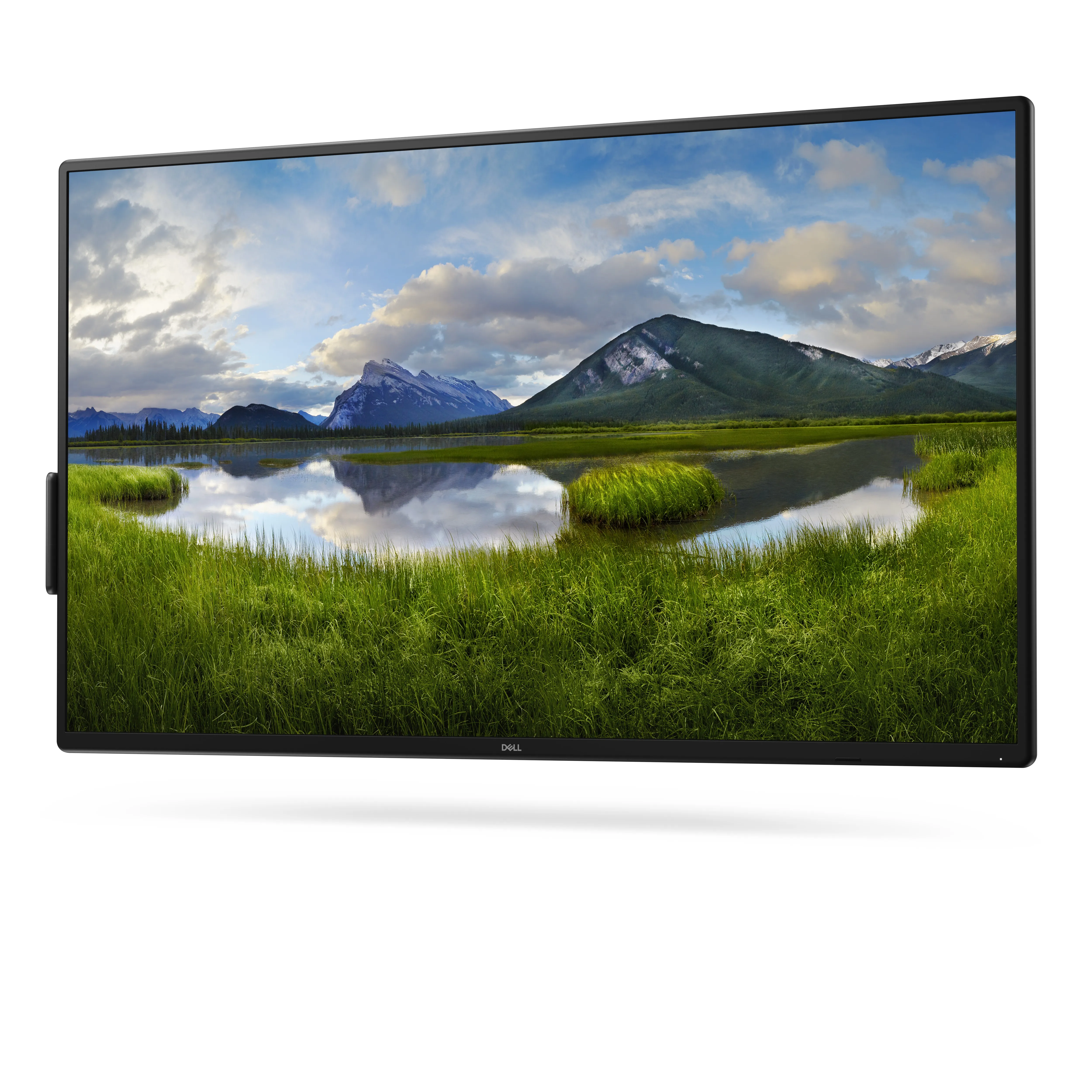 Dell Pro Plus P5525QC 55&quot; 4K UHD, IPS - sk&auml;rm