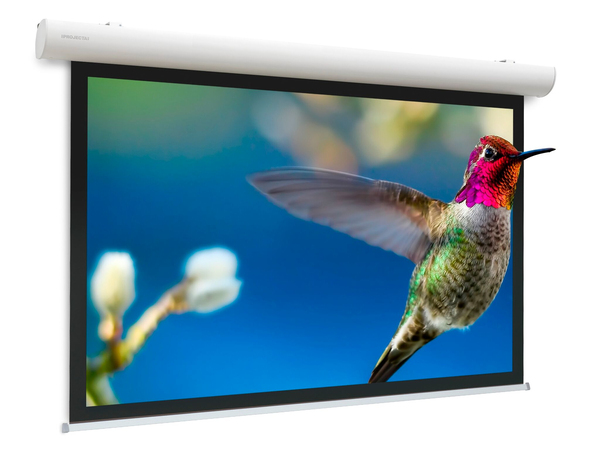 Projecta Ten Elpro ConRF 280x187 HD Pro 0.9