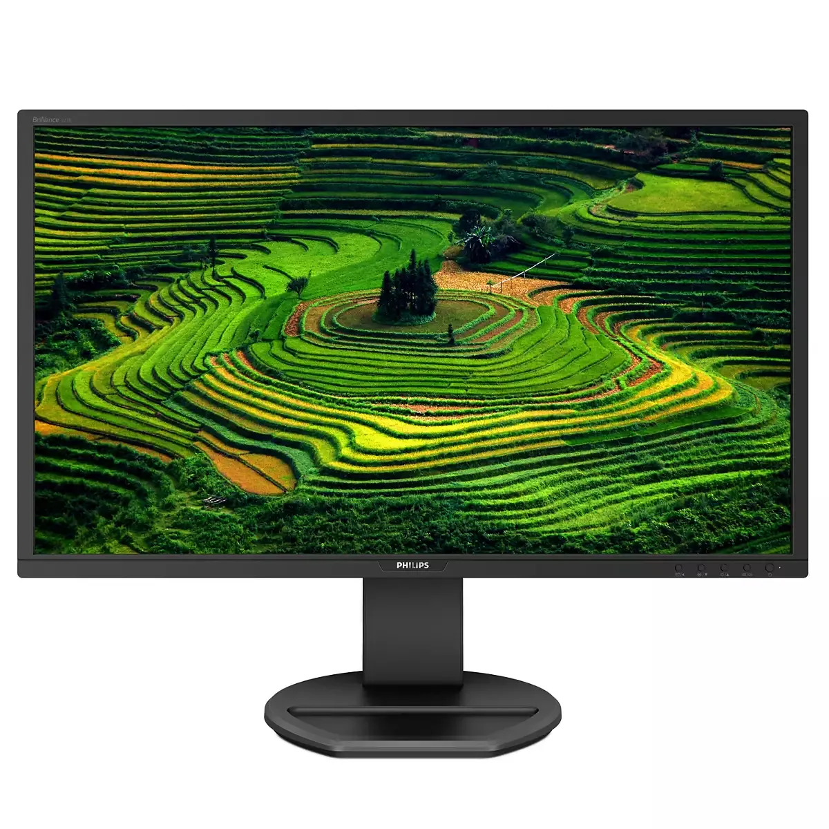 Philips 21.5" B-Line 221B8LJEB, Full HD, TN - skärm