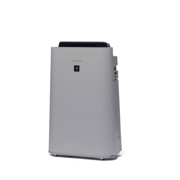 Sharp HD50E -ilmanpuhdistin-kostutin, harmaa