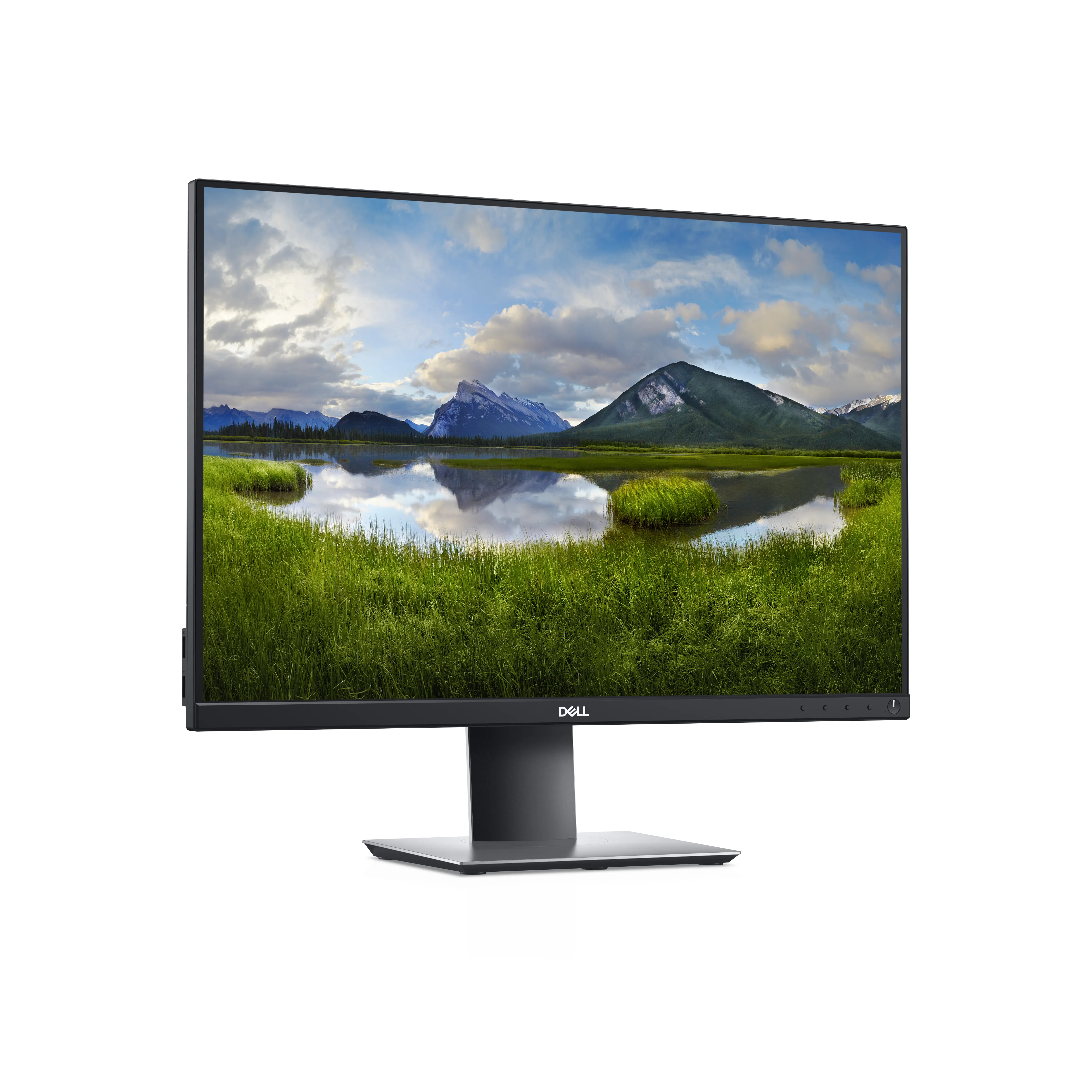 Dell P2421 24" WUXGA, IPS - monitor